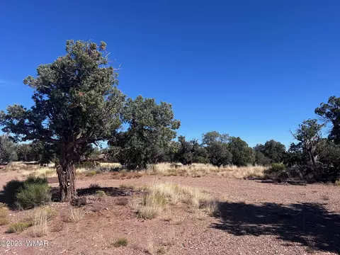 4277 Colt Rd, Snowflake, AZ 85937 photo 3
