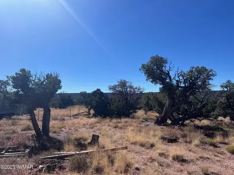 4277 Colt Rd, Snowflake, AZ 85937 photo 5