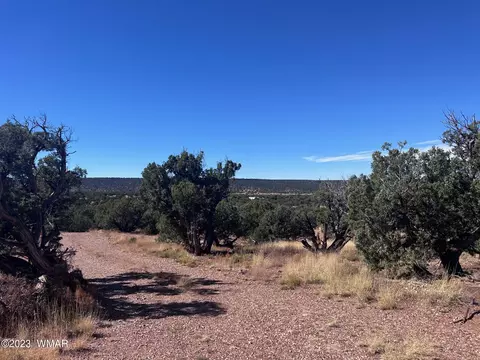 4277 Colt Rd, Snowflake, AZ 85937