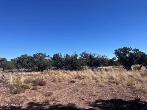 4277 Colt Rd, Snowflake, AZ 85937 photo 6