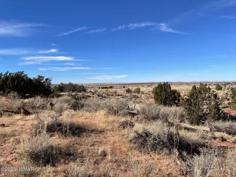 4972 Clyde Rd, Snowflake, AZ 85937 photo 13