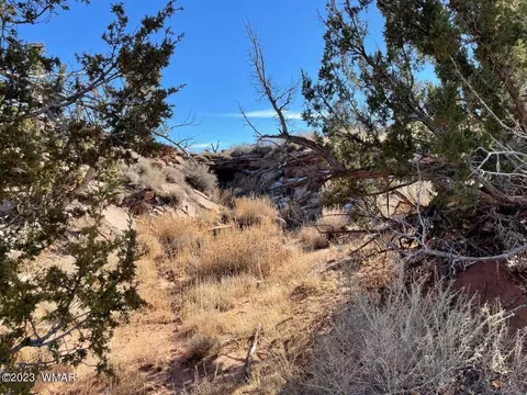 4972 Clyde Rd, Snowflake, AZ 85937 photo 9