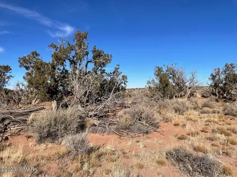 4972 Clyde Rd, Snowflake, AZ 85937 photo 10