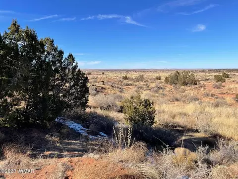 4972 Clyde Rd, Snowflake, AZ 85937 photo 11
