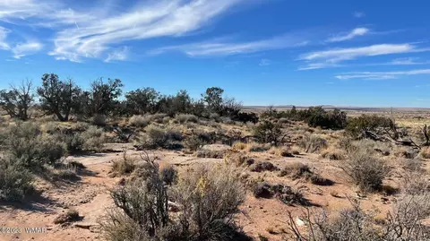 4972 Clyde Rd, Snowflake, AZ 85937 photo 3