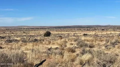 4972 Clyde Rd, Snowflake, AZ 85937 photo 7