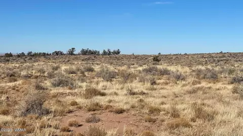 4972 Clyde Rd, Snowflake, AZ 85937 photo 6
