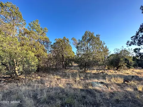 4986 Show Low Lake Rd, Lakeside, AZ 85929