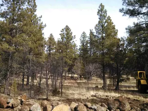 tbd 3 Porter Mountain Rd, Lakeside, AZ 85929