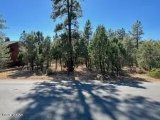 3981 W Hawthorn Rd, Show Low, AZ 85901