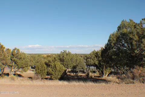 2020 Silver Creek Dr, White Mountain Lake, AZ 85912