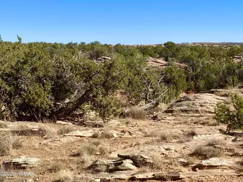 5092 Windmill Ln, Snowflake, AZ 85937 photo 10