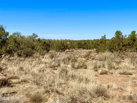 5092 Windmill Ln, Snowflake, AZ 85937 photo 11