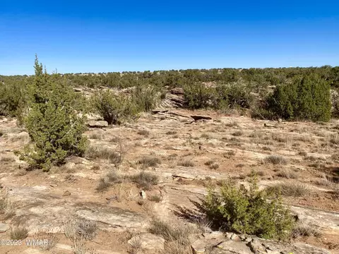 5092 Windmill Ln, Snowflake, AZ 85937 photo 18