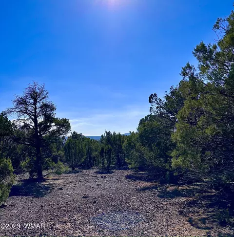 Tbd County Rd N3029, Vernon, AZ 85940