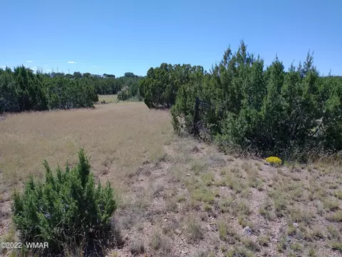 147 Concho Dr, Concho, AZ 85924 photo 4