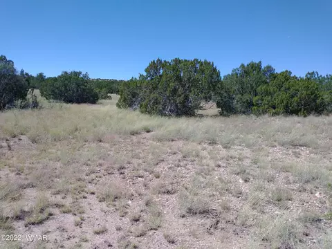 147 Concho Dr, Concho, AZ 85924