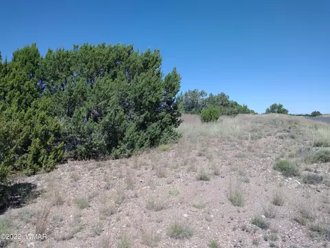 147 Concho Dr, Concho, AZ 85924 photo 2