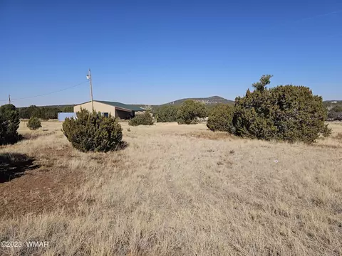 495 Co Rd 3144, Vernon, AZ 85940