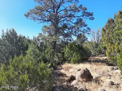 Tbd Cr 8220, Concho, AZ 85924