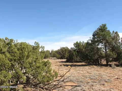 Sec 8 T14n, Heber, AZ 85928