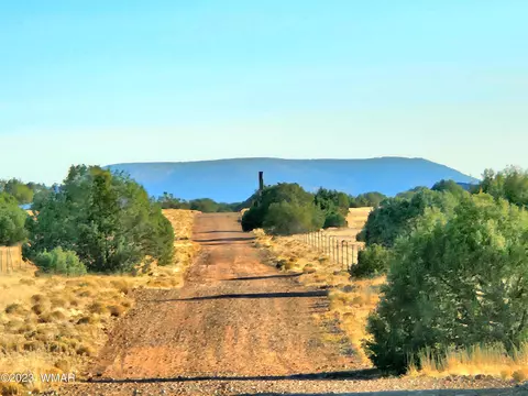 37 Acres - Tbd N9157, Concho, AZ 85924