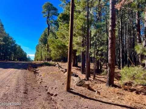 2761 Larson Loop, Forest Lakes, AZ 85931 photo 1