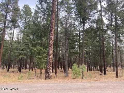 000 County Road 2196, Alpine, AZ 85920
