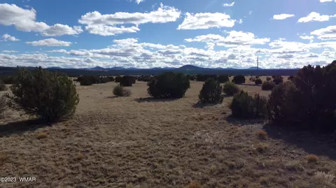 2 County Road 8249, Concho, AZ 85924
