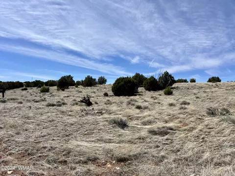 Other - 36641 Sr 61, Concho, AZ 85924 photo 6 of 7
