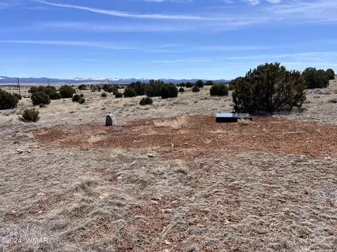 View/Area - 36641 Sr 61, Concho, AZ 85924 photo 1 of 2