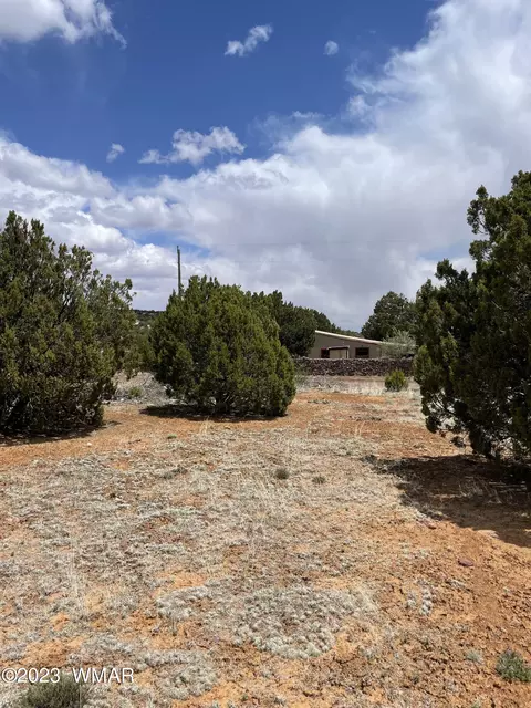 34 Meadow Ln, Concho, AZ 85924