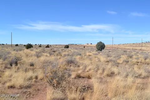 8415 Charolais Trl, Snowflake, AZ 85937