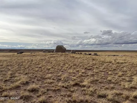 Lot 283 County Road N9373, Concho, AZ 85924
