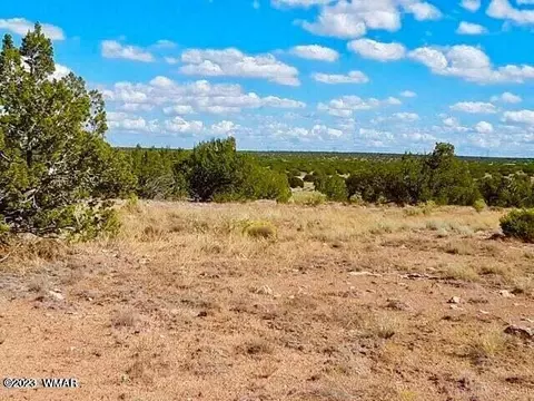 Sec 31 T15n, Heber, AZ 85928