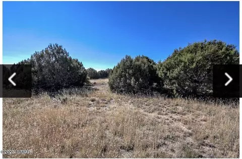 4683 S White Mountain Rd, Show Low, AZ 85901