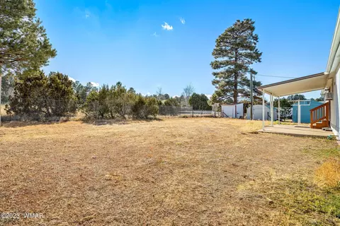 2163 Meadow Ln, Overgaard, AZ 85933 photo 21