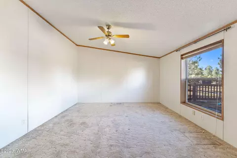 2163 Meadow Ln, Overgaard, AZ 85933 photo 18