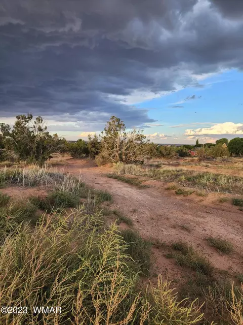 Tbd Porter/bryant, Snowflake, AZ 85937 photo 4