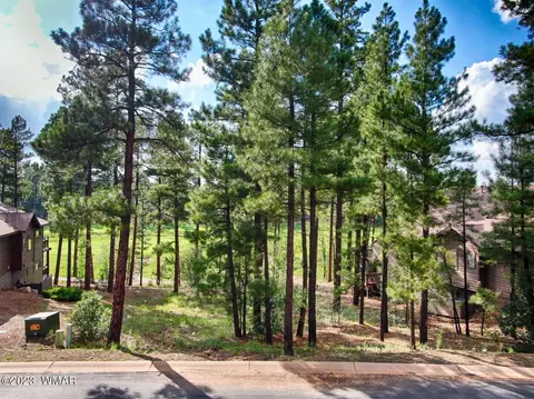 610 S Rockcress Ln, Show Low, AZ 85901