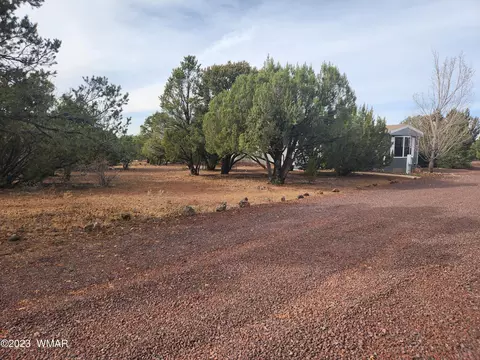 Cr 3077 N Chyana Spring Drive, Vernon, AZ 85940