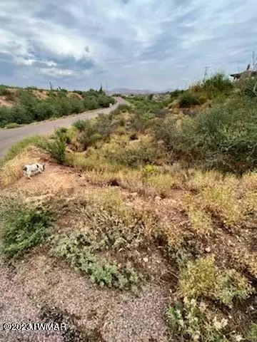 Tbd Cherokee Dr 2.55 Acres, Globe, AZ 85501 photo 10