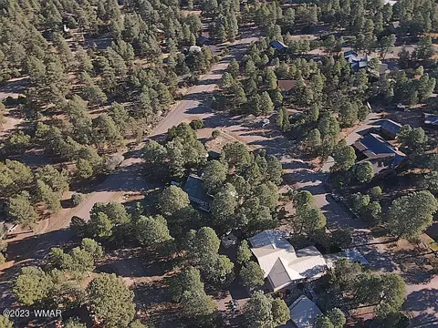 View/Area - 2978 Windmill Ln, Overgaard, AZ 85933 photo 1 of 3