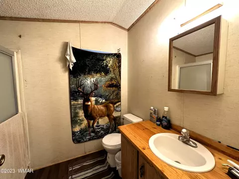 1172 E Maricopa Dr, Springerville, AZ 85938 photo 14
