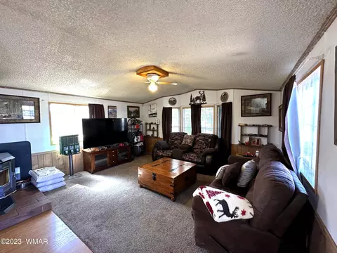 1172 E Maricopa Dr, Springerville, AZ 85938 photo 2