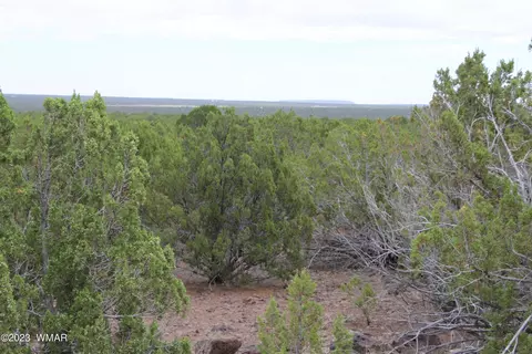 1320 Lodge Pole Rd, Show Low, AZ 85901