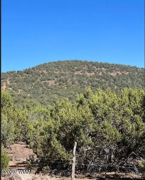 13 County Road 3317 # B, Concho, AZ 85924