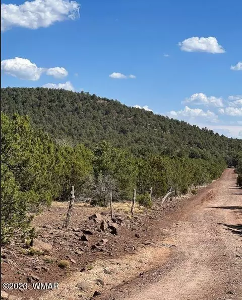 13 County Road 3319 # A, Concho, AZ 85924