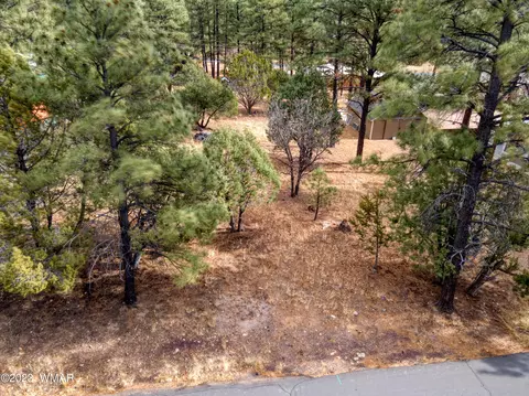 961 N 33rd Ave, Show Low, AZ 85901