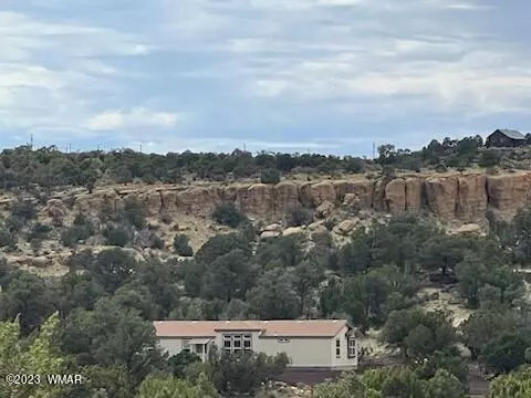 4 County Road N8689, Concho, AZ 85924